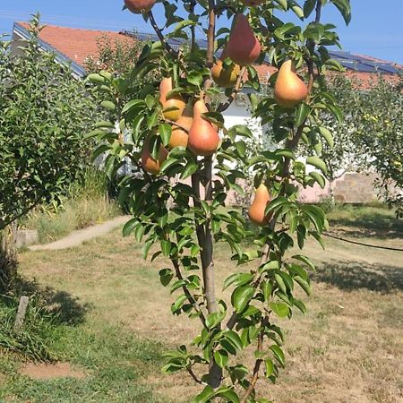 Hotel Cider&Squash, Grncarska 8, Prnjavor Batocina Екстер'єр фото