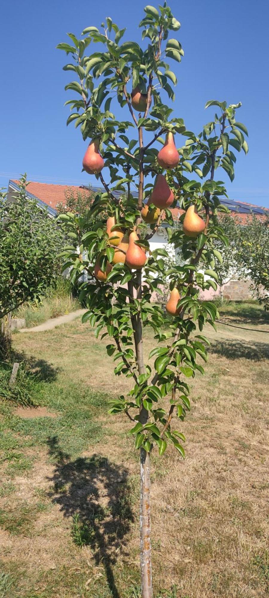 Hotel Cider&Squash, Grncarska 8, Prnjavor Batocina Екстер'єр фото